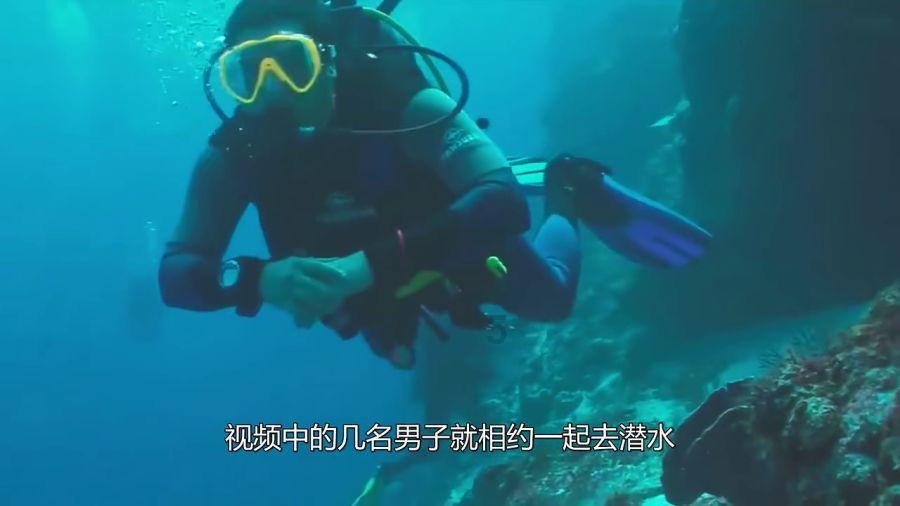 全民烧脑3去广告版