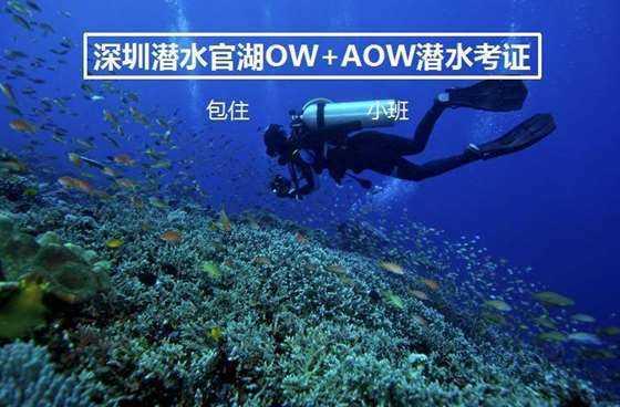 狗狗打喷嚏但是精神很好
